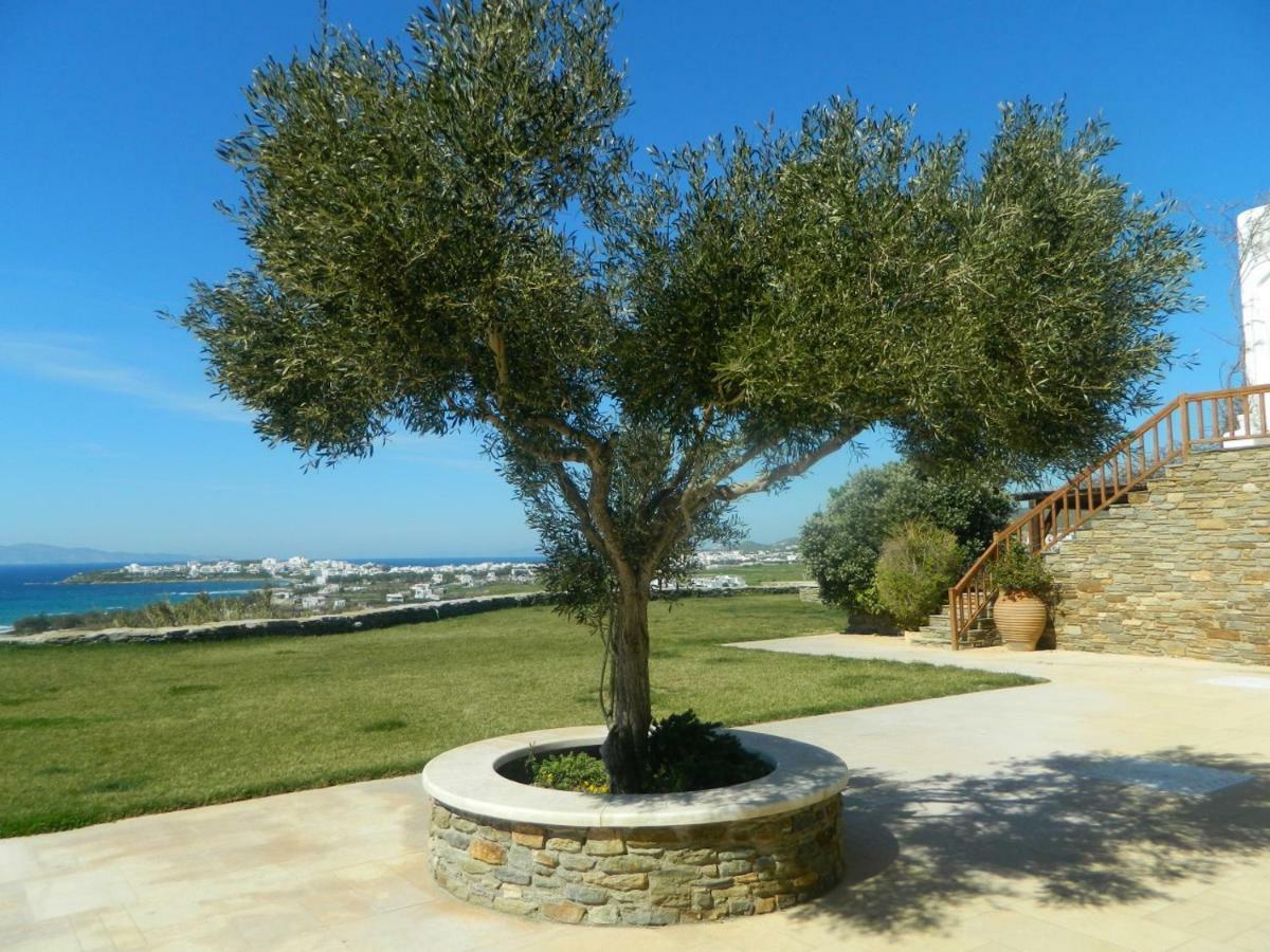 Grace Villa Tinos Island Екстер'єр фото